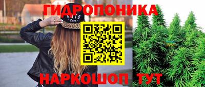 a pvp Мариинск