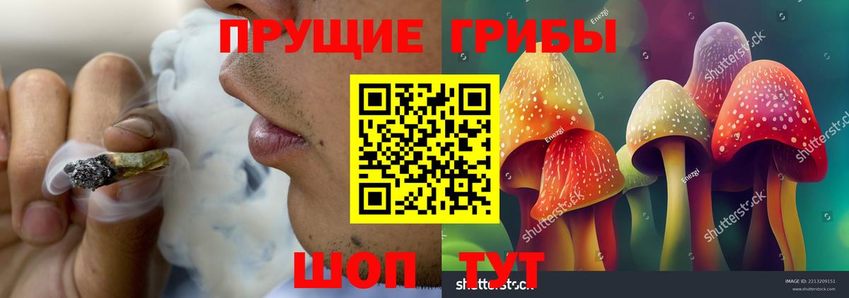Тулун  Галлюциногенные грибы Cubensis  Вход с VPN  Псилоцибиновые грибы Psilocybine cubensis 